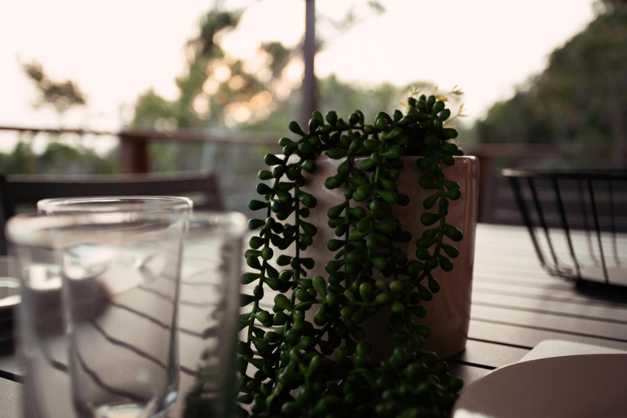 Edge Of Eden Apartment วิลเดอร์เนส ภายนอก รูปภาพ
